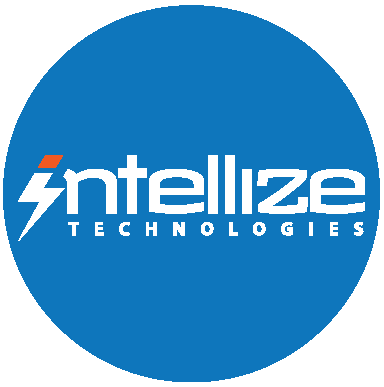 Small Intellize Logo